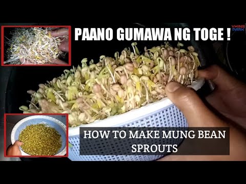 Download Video How To Make Toge - Paano Gumawa Ng Toge Download Video How To Make Toge - Paano Gumawa Ng Toge