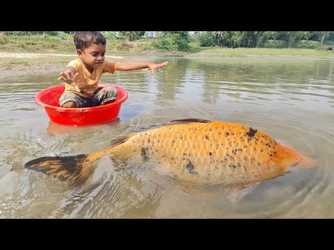 Amazing Traditional Boy Fish Catching By Hand in Water | Amazing Hand Fishing Video #Fish