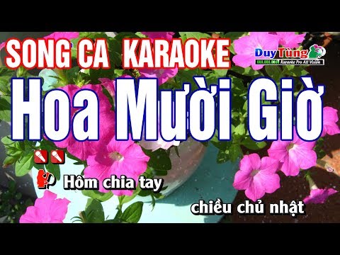 Hoa Mười Giờ Karaoke Song Ca – Nhạc Sống Duy Tùng