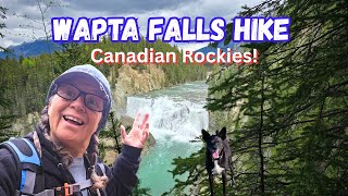 Wapta Waterfall Hike in the Canadian Rockies!