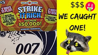 💲💲💲 WE CAUGHT ONE!!! 🦝🤑