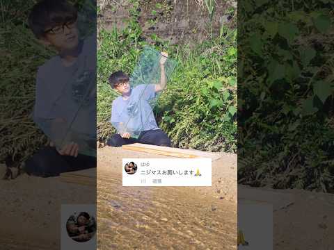 ニジマスで水槽作ってください！に応えます！