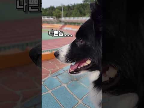 아빠가 혼자 달리게된 이유