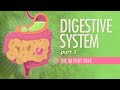 Exploring the Digestive Process with Nachos