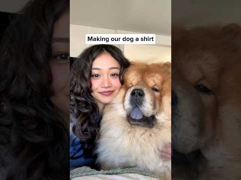 Our dog is bald so I made him a shirt