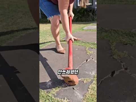 고양이를 위한 리모델링