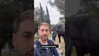 Louis va por todo🐴 Nuestra Lucha diaria por su SALUD!