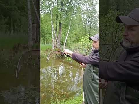 Уникальное приспособление отшельника #рыбалка #пруд #деревня