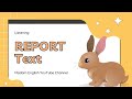 Understanding Rabbit Care and Behavior