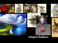Mass Extinctions and Evolution Concepts