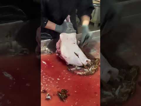 LIMPIEZA DE CABEZAS DE CERDO