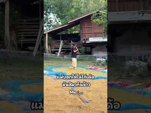 โอเคจ้าแม่ #funny #comedy
