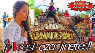 ¡¡A DESTROZAR JINETES!! 3 GANADERÍAS ARMADOS HASTA LOS DIENTES EN SAN VICENTE JALISCO