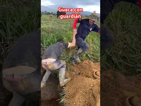 Guaca con guardián #gold