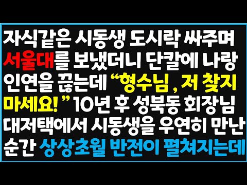 (신청사연) 자식 같은 시동생 도시락 싸주며 서울대를 보냈더니 단칼에 나랑 인연을 끊는데 "형수님, 저 찾지 마세요!" 10년 후 성북동 회장님 [신청사연][사이다썰][사연라디오]