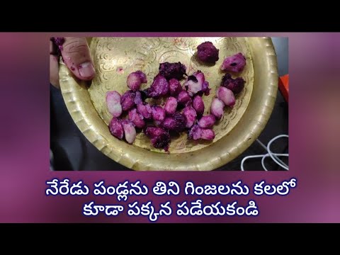 పండు తిని గింజను పక్కన పడేస్తున్నార? అయితే మీరు మధుమేహంలో కాలేసినట్టే ఎందుకో మీరే చూడండి