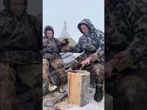 Угостил гостя 🥩 #жизньвлесу #ханты #север