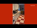 5 bedroom student house in Cathays, Cardiff