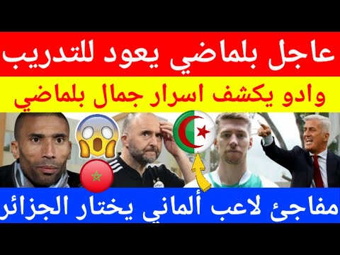 عاجل شاهد المغربي وادو يكشف اسرار جمال بلماضي وعودته للتدريب من جديد و لاعب ألماني يختار الجزائر