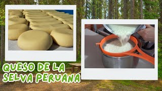 Descubre el delicioso queso Amazónico Peruano/ Receta ÚNICA con solo 3 Ingredientes