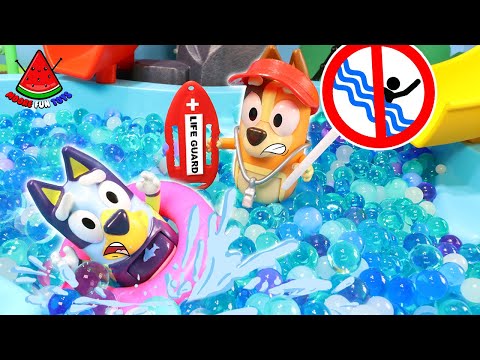 Bluey The Pool Adventure | The Best Pool Safety Rules for Kids and Toddlers