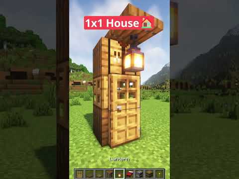 Minecraft 1X1 House🏠 #shorts