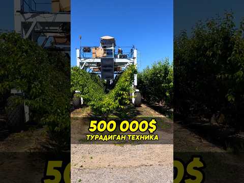 ДУНЁДА БУНДАЙ ТРАКТОР БОШҚА ЙЎҚ! #shuhratabrorov #dollar #nok #traktor #gilos #texnikalar #uz