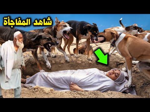 فتاة ماتت وعند دفنها فتحت الكلاب قبرها ومزقت جثتهـ ـا أمام الناس وعندما عرفوا السبب انصدم الملايين!!