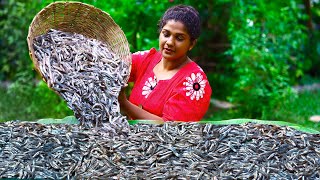 fresh Tiny Anchovies🐟🐟 Best Traditional fish recipes prepared in my home🍲🥩