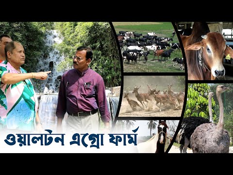995- অসাধারন একটি খামার বাড়ী ওয়ালটন এগ্রো- র.ই মানিক চিত্রপুরী  R.I.Manik.Chitrapuri Krishichitra