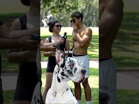 Será que você acertaria? 🐶