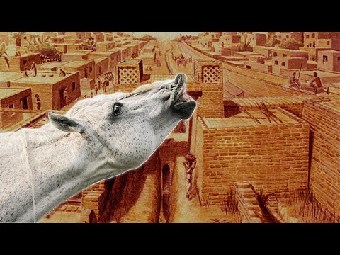 Did the Indus Valley Civilization Breed Horses? | Myths Highlights