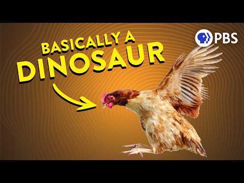 How Feathered Dinosaurs Accidentally Invented Flight