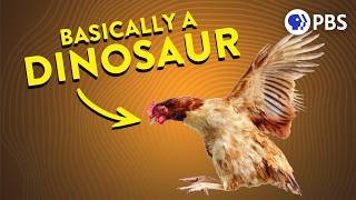 The Weird Way Feathered Dinosaurs Accidentally Invented Flight