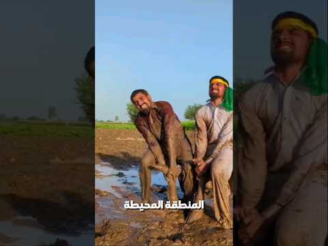 إياك أن تقع في نفس الخطأ ، النهاية صادمة 🤯 #shortvideo