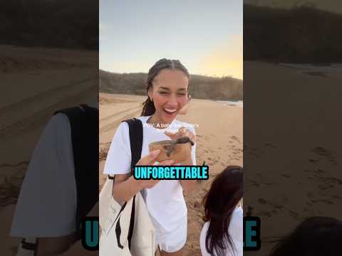 Tourist releases turtles to start their new lives 🥹💓 (🎥 IG/@amayaancr)