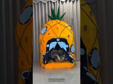 भाई ने बनाया Unique Pineapple🍍 Kids Home ~ Mini wood Toy - Woodworking skill/hand craft #shorts