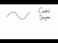 Molecular Biology: Nucleotides and Translation