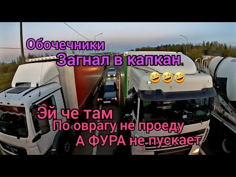 Обочечники мышата мечутся. Загнал в капкан. Смех до слез ???