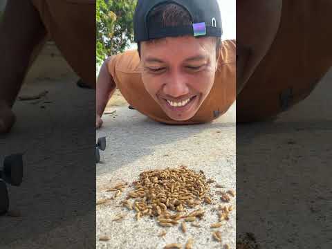 Sharing whistle candy with manggots cappucino assasino #shorts