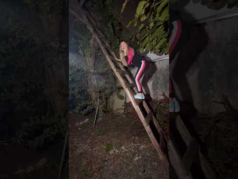 Vou dormir na Casinha da Árvore 🌳🥰 #casa #sitio #casanaarvore #noite #viral #reforma #construção
