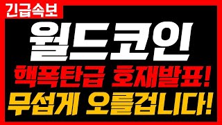 [월드코인]🔴핵폭탄급 호재발표🔴정말 축하드립니다!! 드디어 고생 끝!  #월드코인 #월드코인전망 #월드코인분석 #월드코인목표가 #월드코인차트