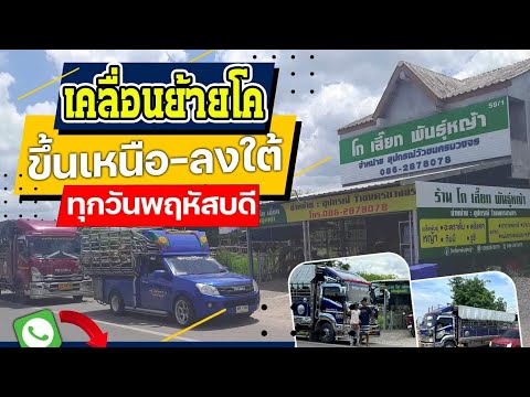 บริการขนส่งวัวจากภาคใต้ขึ้นภาคเหนือรอบวันที่ 5-6 มิถุนายน 2568