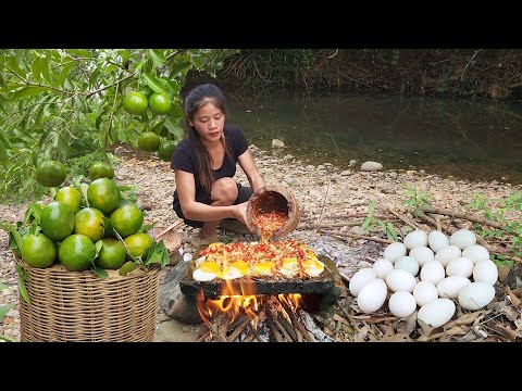 Pick egg and Wild oranges for jungle food, Egg hot chili grilled on the rock So delicious food