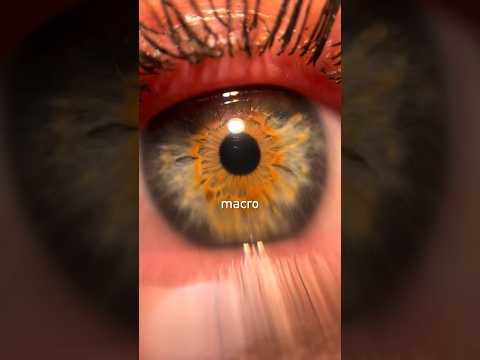 I made a macro lens from a water droplet…