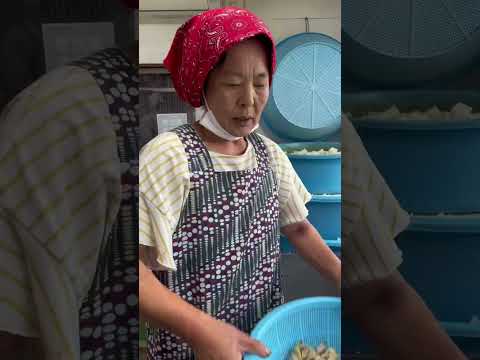 最速3分で売り切れるキムチ家の【アサリキムチ】#koreanfood #キムチ #キムチの家 #佐渡島