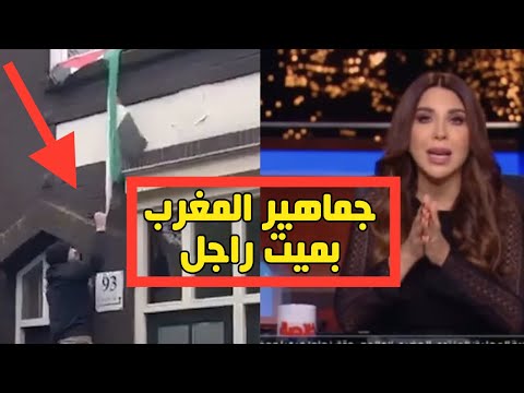 جماهير المغرب بمليون راجل|دهشة مذيعة مصرية من جماهير المغرب بهولندا تضامنا مع غـ ـزة#مع_معتز #العراف