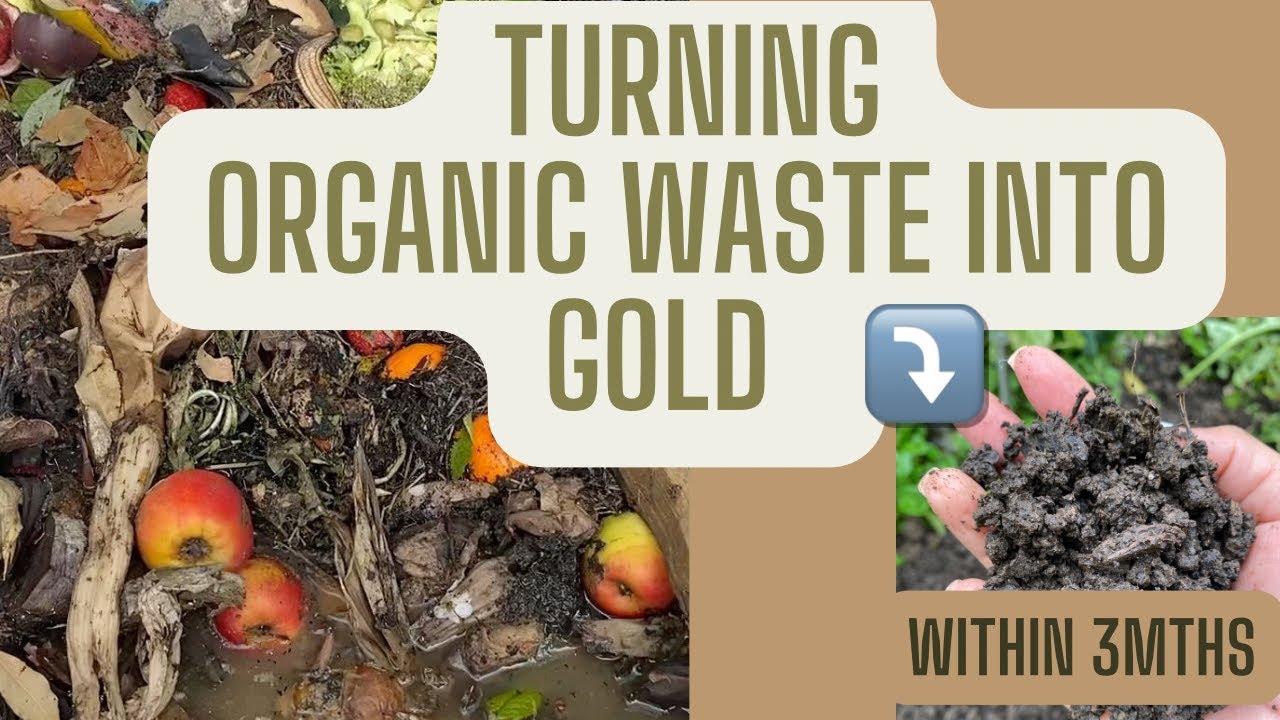 “Composting in Simple Steps: Turning Your Kitchen Waste into Garden Gold”