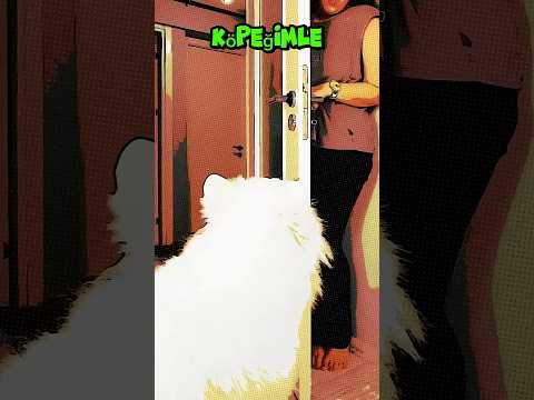 Köpeğimle Saklambaç Oynadık! Kimi Seçecek 😅 #TeamArya #TeamMeyzi