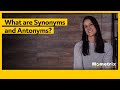 Exploring Synonyms and Antonyms